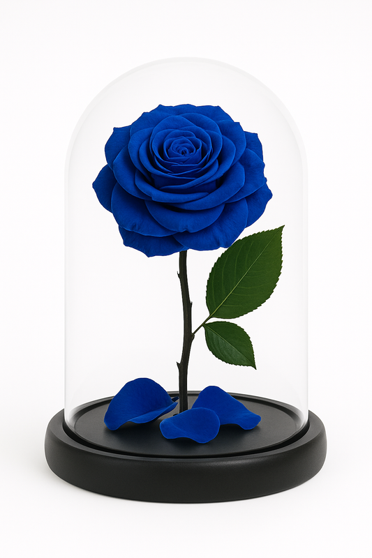 Belle in Royal Blue